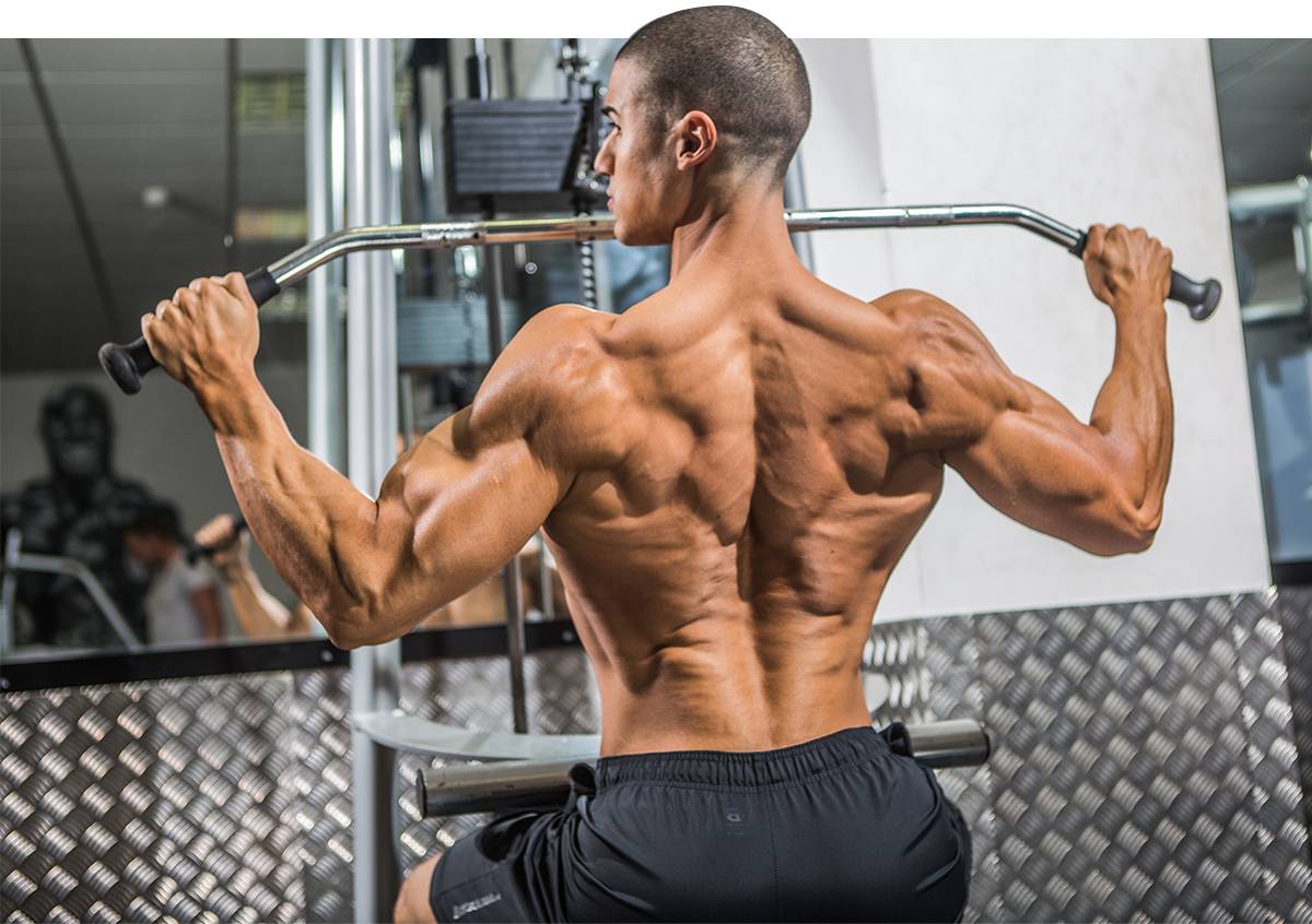 Трапециевидная мышца упражнения в домашних условиях