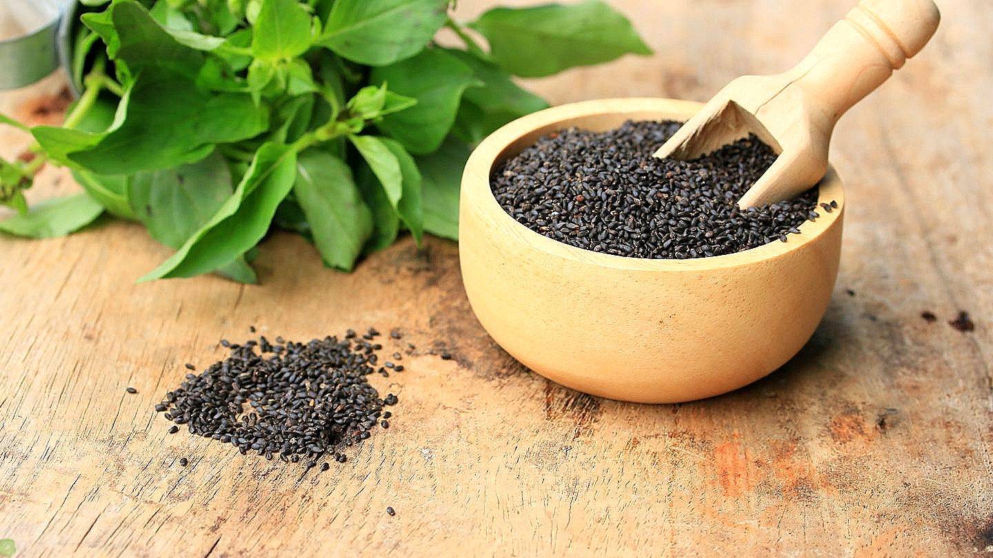 Базилик: польза и вред для здоровья, применение базилика