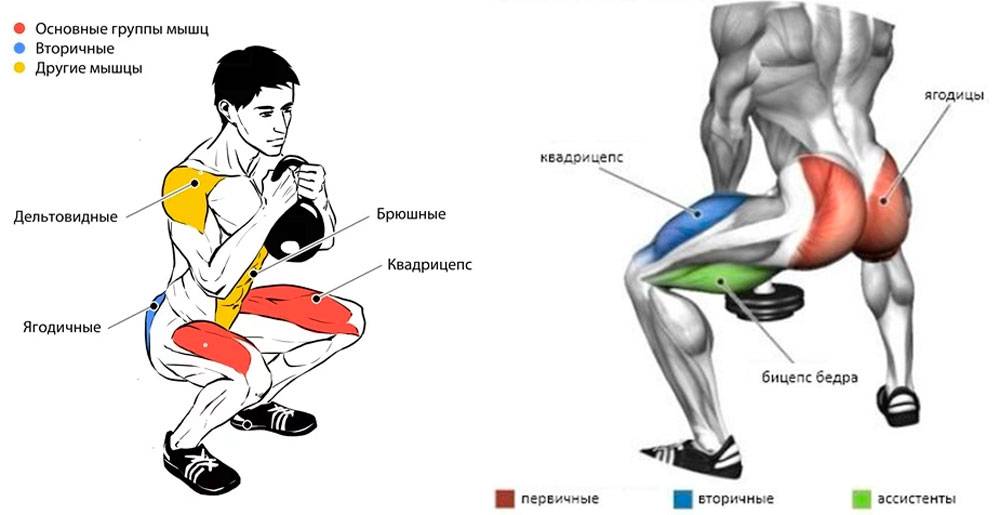 Приседания со штангой