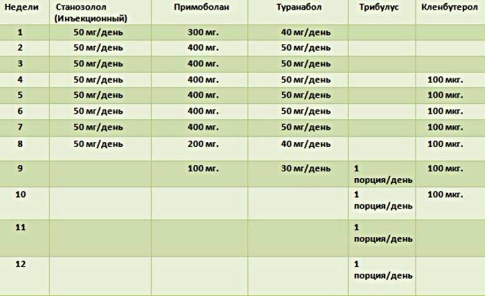 Курс приема креатина: инструкция по применению и дозировка