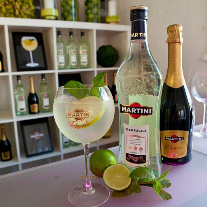 Чем разбавить мартини? как правильно пить мартини и с чем