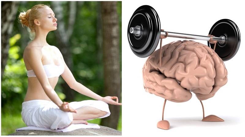 Связь мозга и стресса