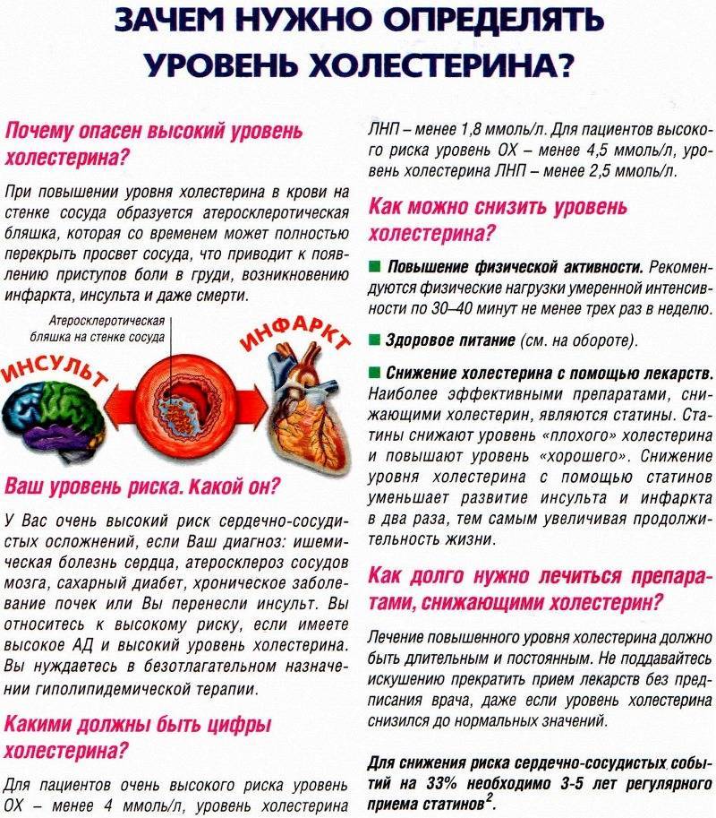 Как снизить холестерин: быстро и без лекарств