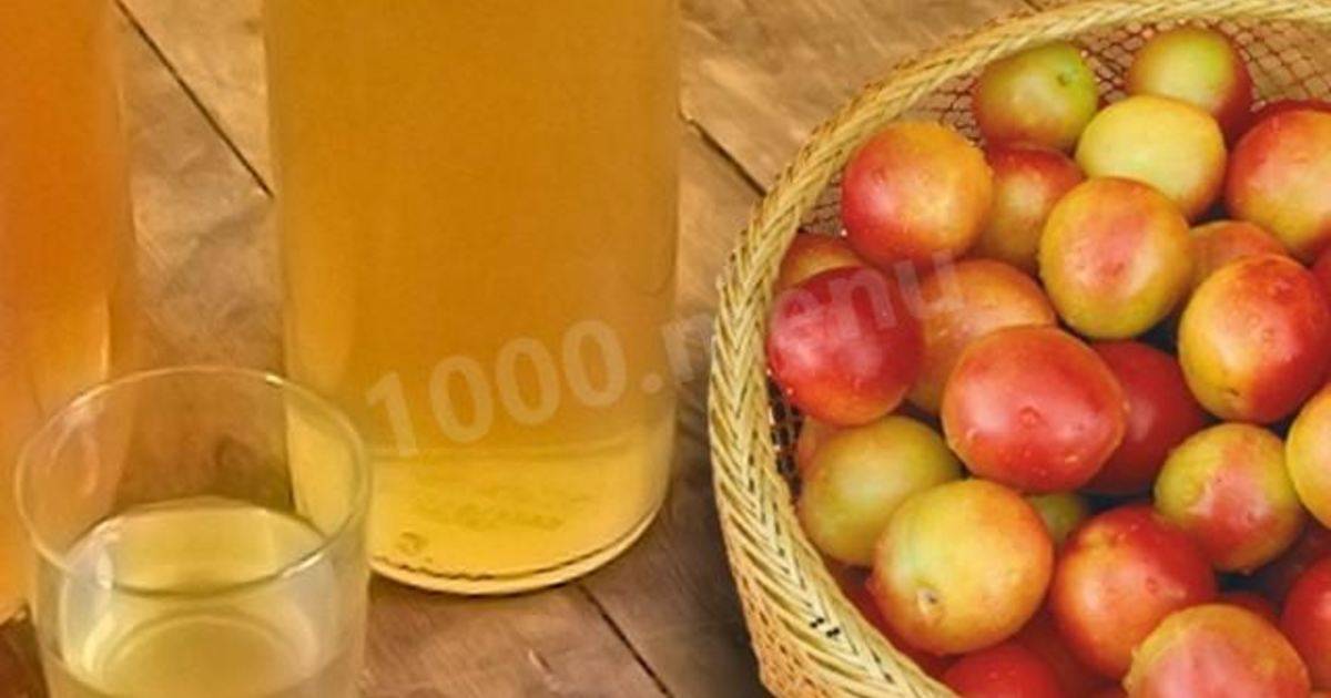 Медовое вино из алычи дома