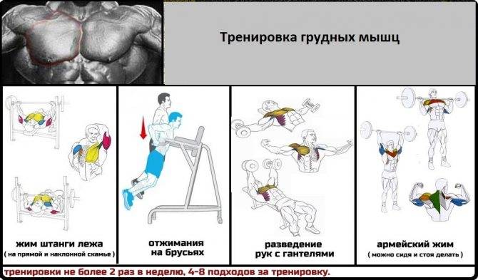 Как накачать грудные мышцы девушке в домашних условиях: лучшие упражнения для груди для женщинwomfit