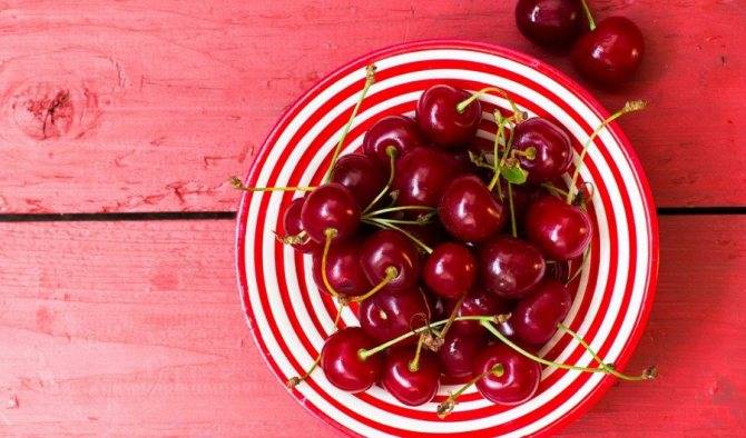 Вишня - польза и вред для здоровья