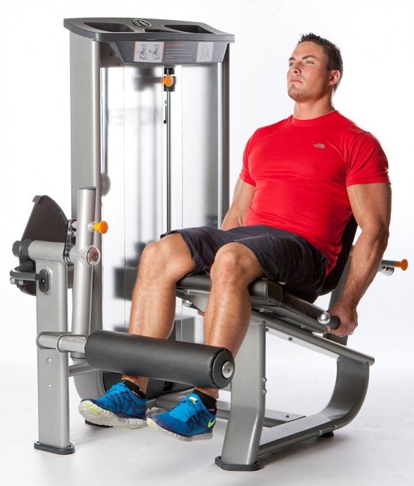 Как делать разгибание ног на тренажере сидя? какие мышцы работают в упражнении?