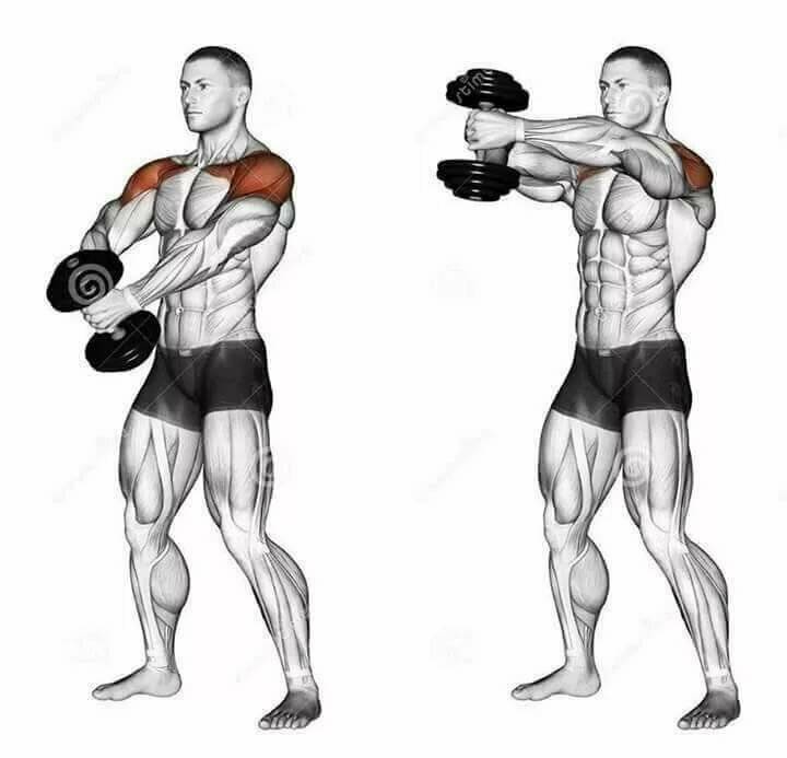 Разведение гантелей в стороны стоя: техника выполнения, ошибки