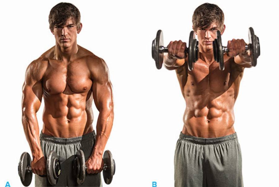 Жим гантелей стоя: техника выполнения. жим гантелей стоя вверх над головой: какие мышцы работают