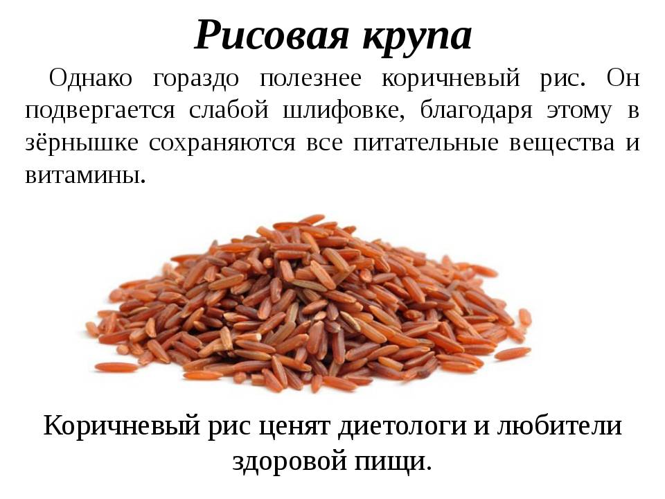 Красный рис: польза и вред, как правильно варить, калорийность и состав