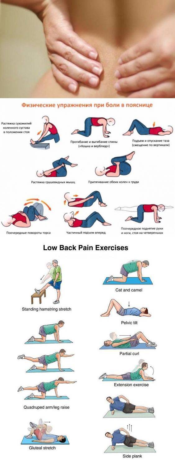 Упражнения при болях в спине и пояснице самые эффективные в картинках