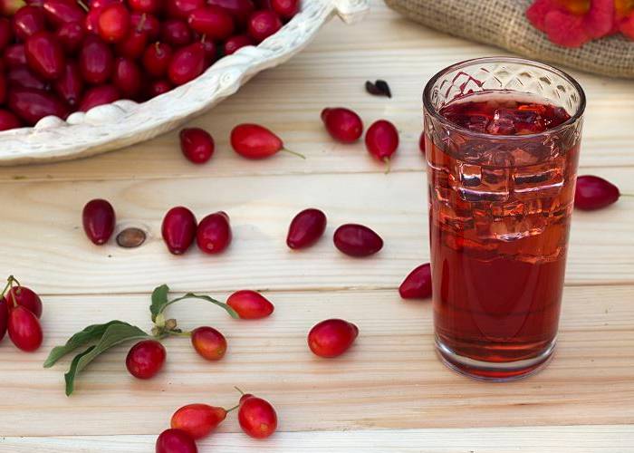 Наливка из кизила: рецепт на водке в домашних условиях, как сделать кизиловую наливку на спирту