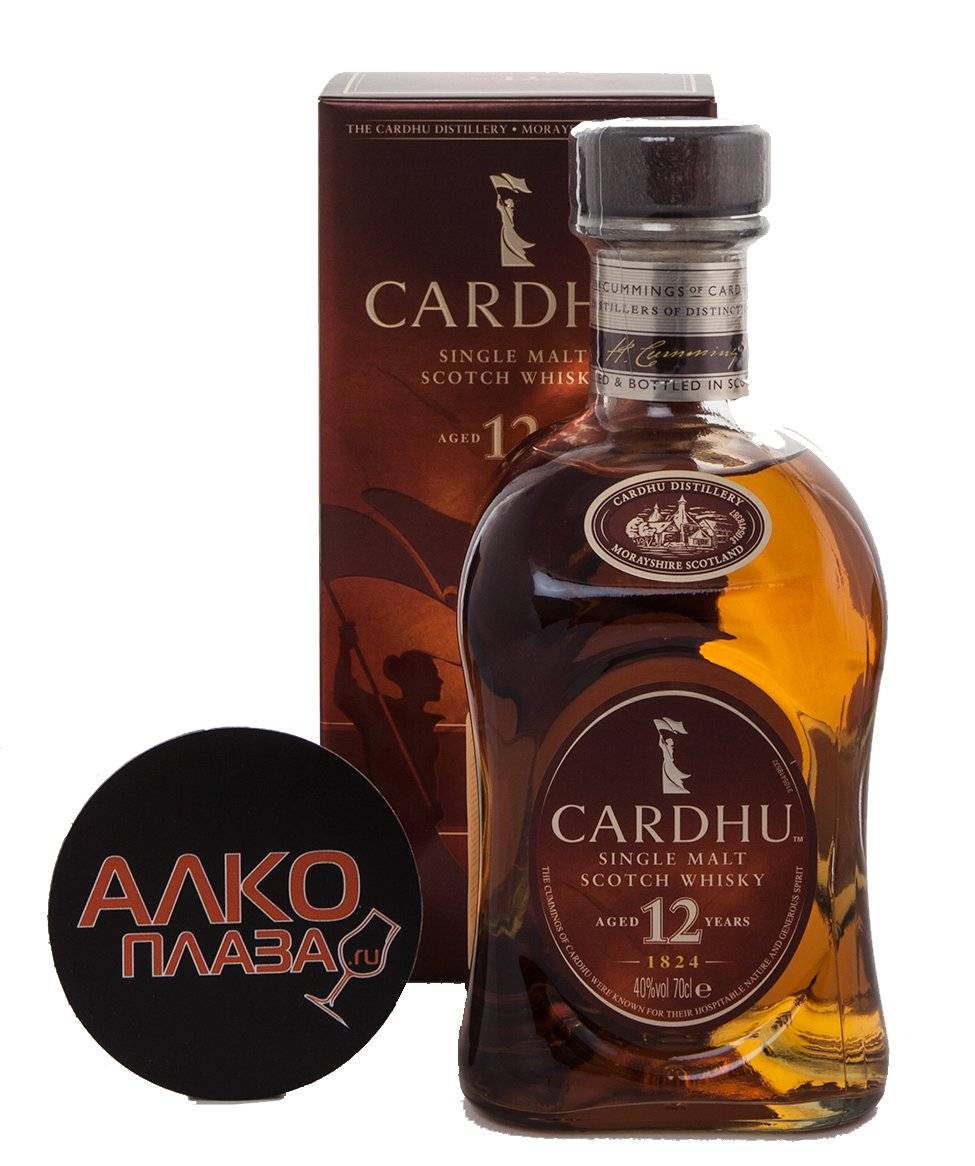 Настойка из черноплодной рябины: 7 рецептов в домашних условиях