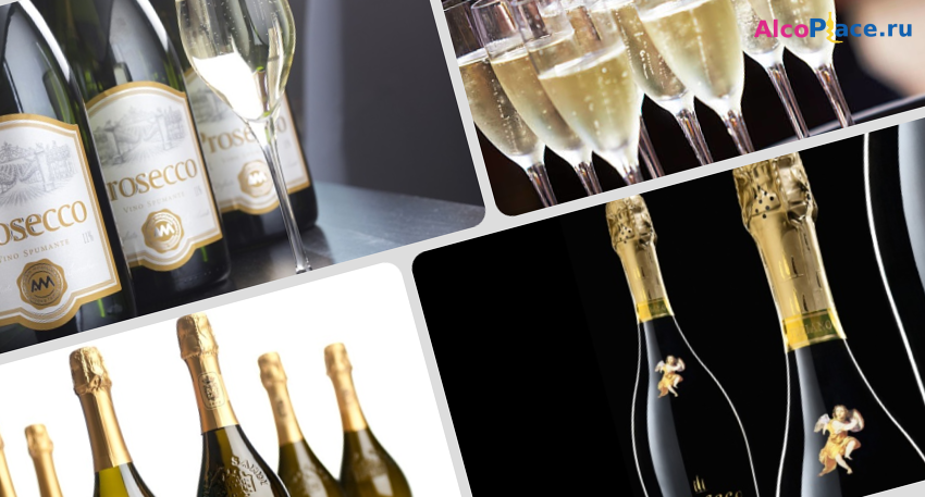 Игристое вино prosecco. Игристое regis. Просекко итальянские вина. Cava шампанское. Шампанское просекко полусухое.