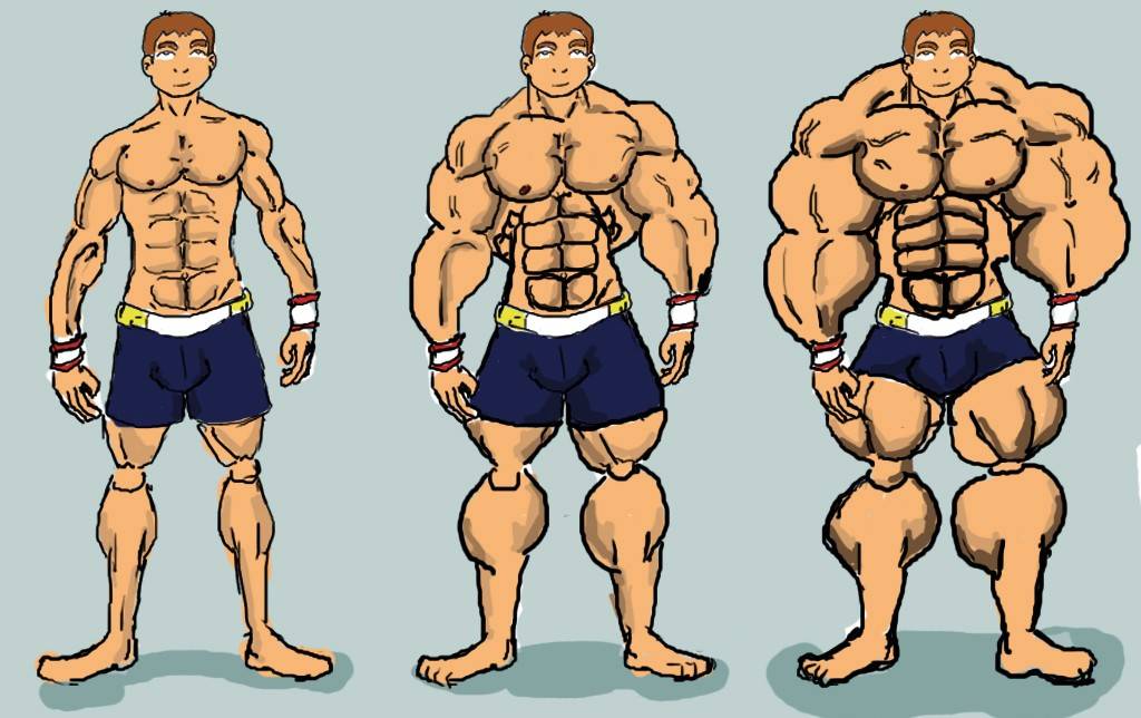 Когда растут мышцы. Эктоморф спортсмен. Рост мышц. Мышцы растут. Качок рисунок.