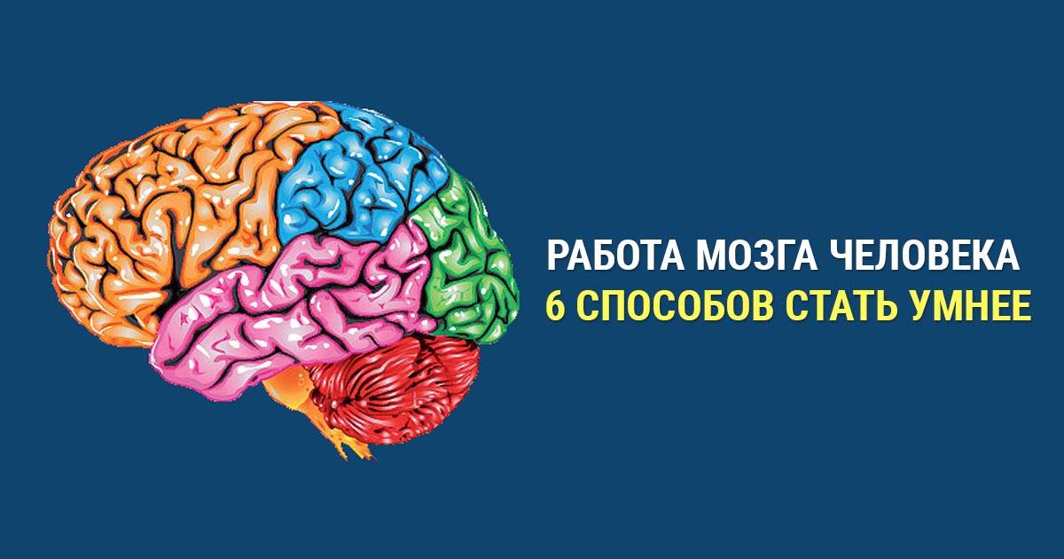 Время активного мозга. Мозговая активность. Умный мозг. Мозг человека используется.