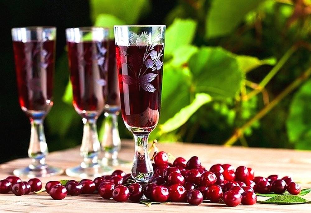 Вишневая наливка рецепт наливки из вишни