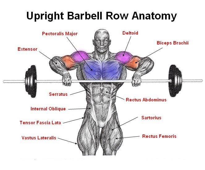 Тяга к подбородку: тренируй свои плечи правильно