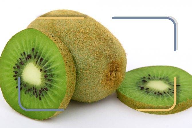 “киви — польза для организма, свойства и противопоказания”