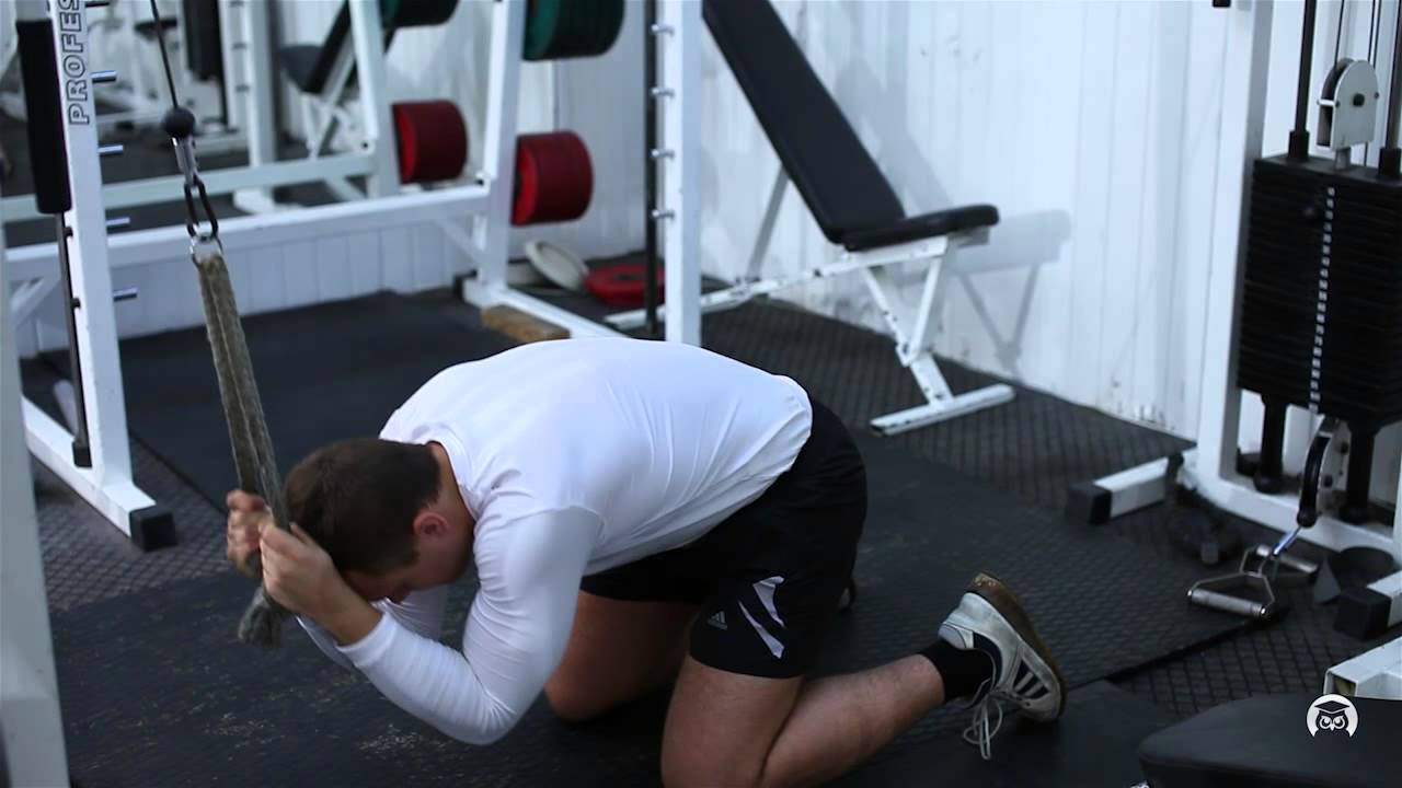 Разгибание рук на верхнем блоке стоя: техника выполнения от а до я! в домашних условиях | для девушек и мужчин