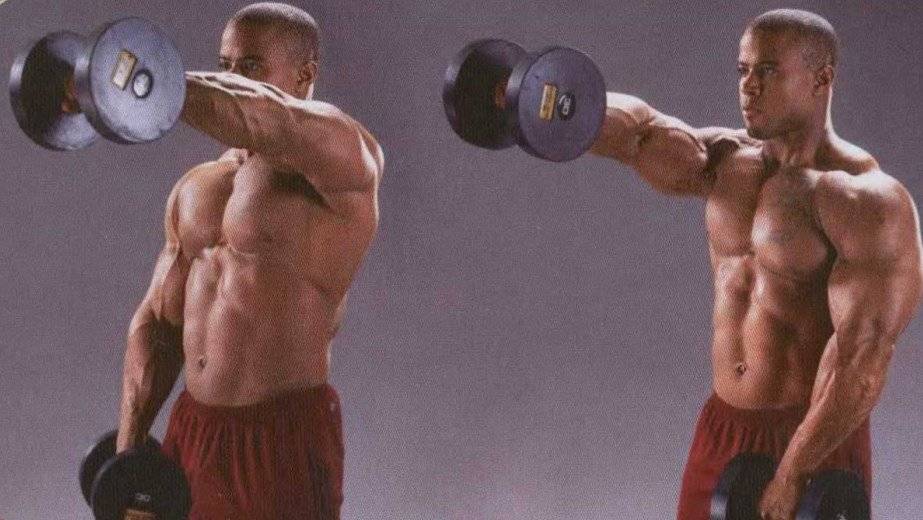 Подъем гантелей перед собой