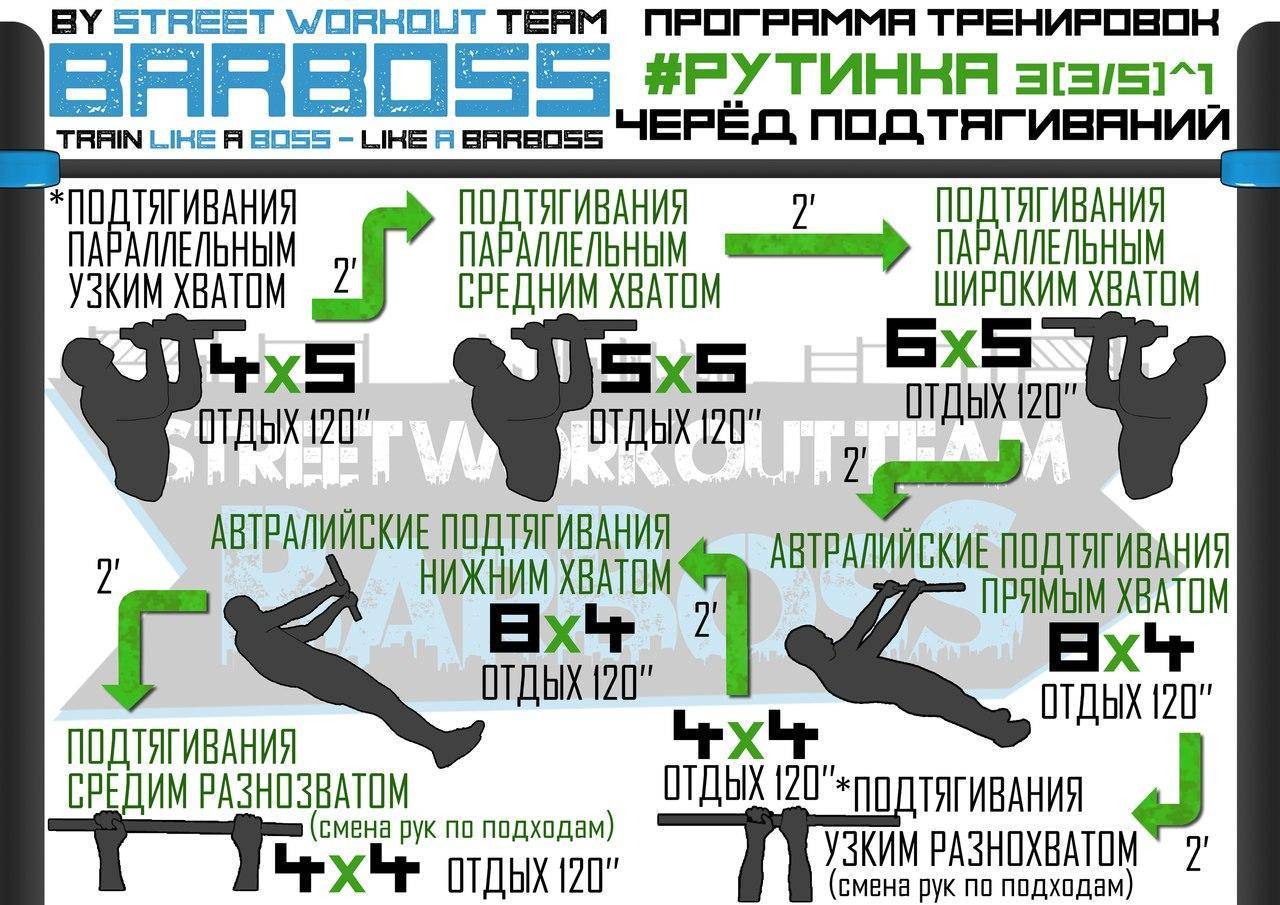 Программа тренировок shark. Тренировка воркаута. План тренировки воркаут. Калистеника упражнения для мужчин. Калистеника программа тренировок.