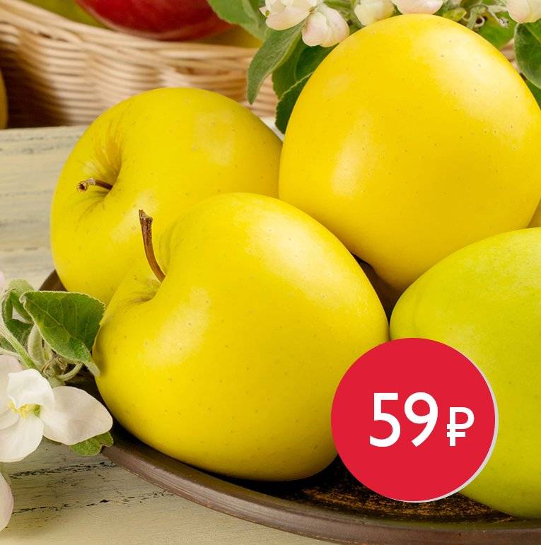 Сколько калорий в красном яблоке. сколько калорий в одном красном и зеленом яблоке