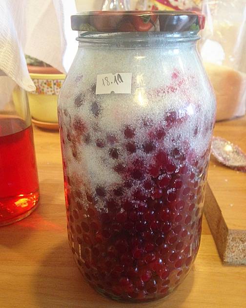 Как сделать клюквенную настойку на водке в домашних условиях