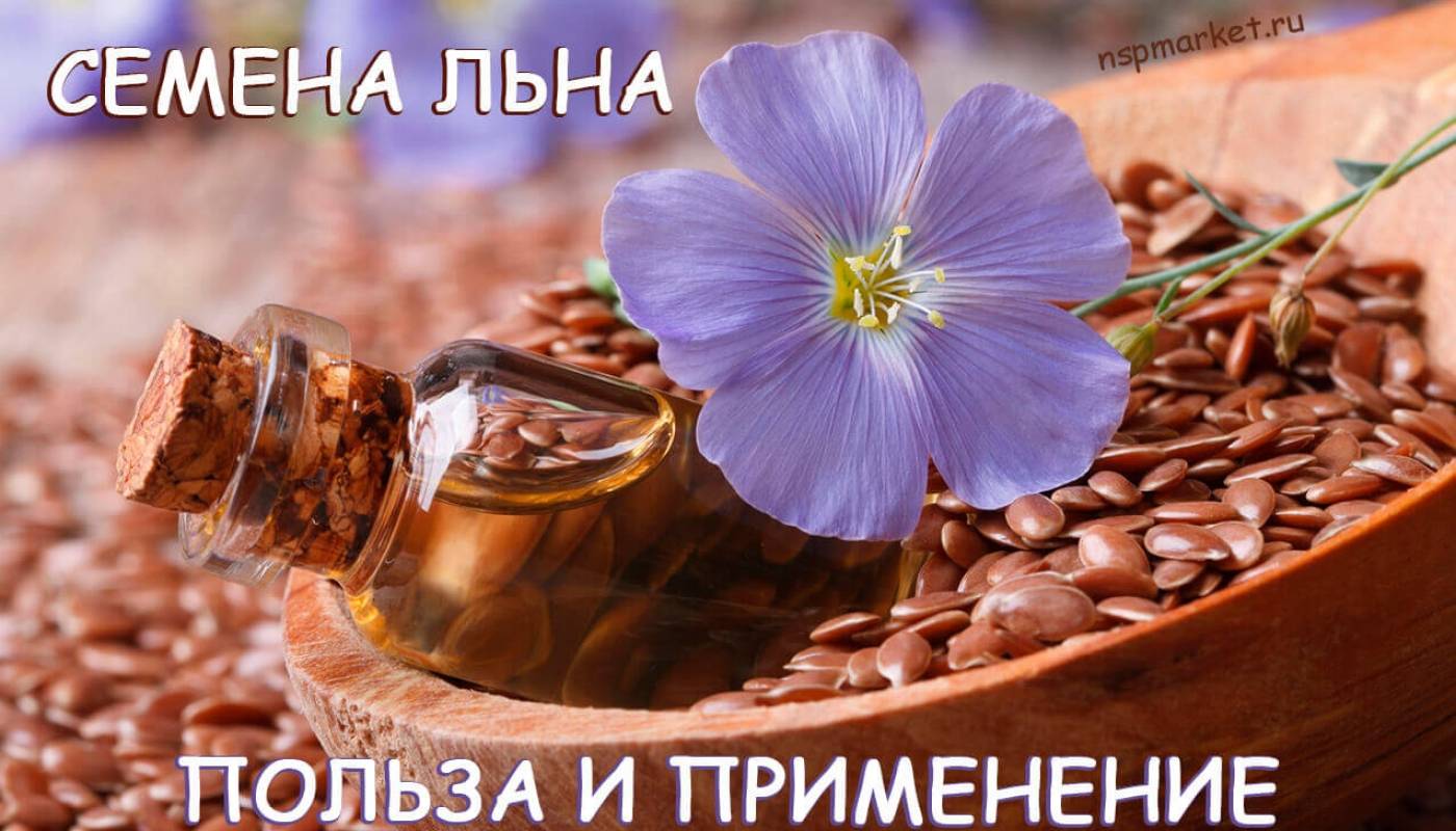 Семя льна — состав, лечебные свойства и противопоказания | здоровье и красота