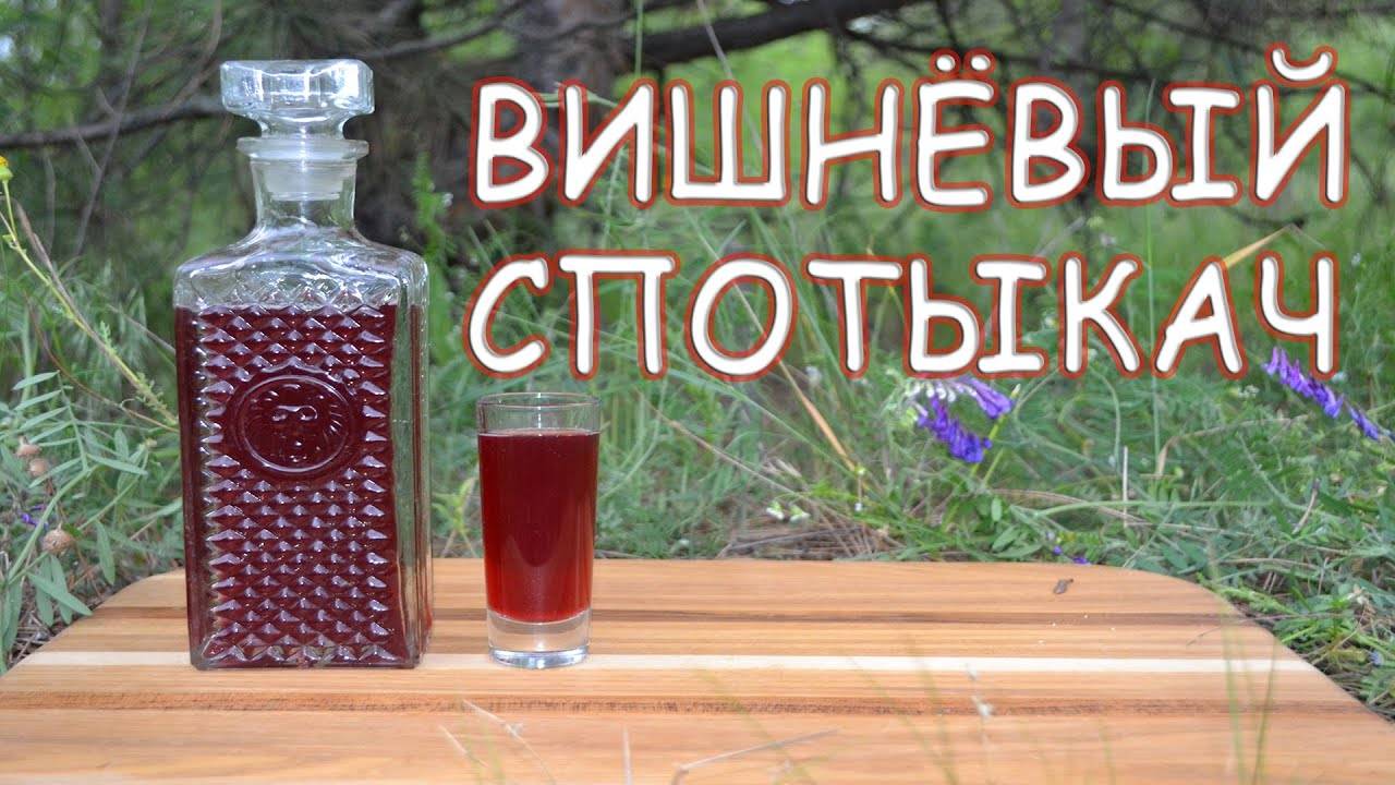 Домашний спотыкач – традиционная украинская ягодная наливка. как приготовить спотыкач в домашних условиях