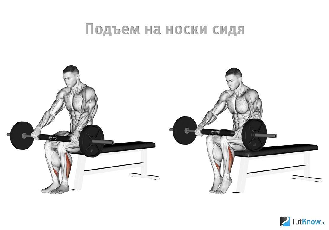 Подъем на носки стоя