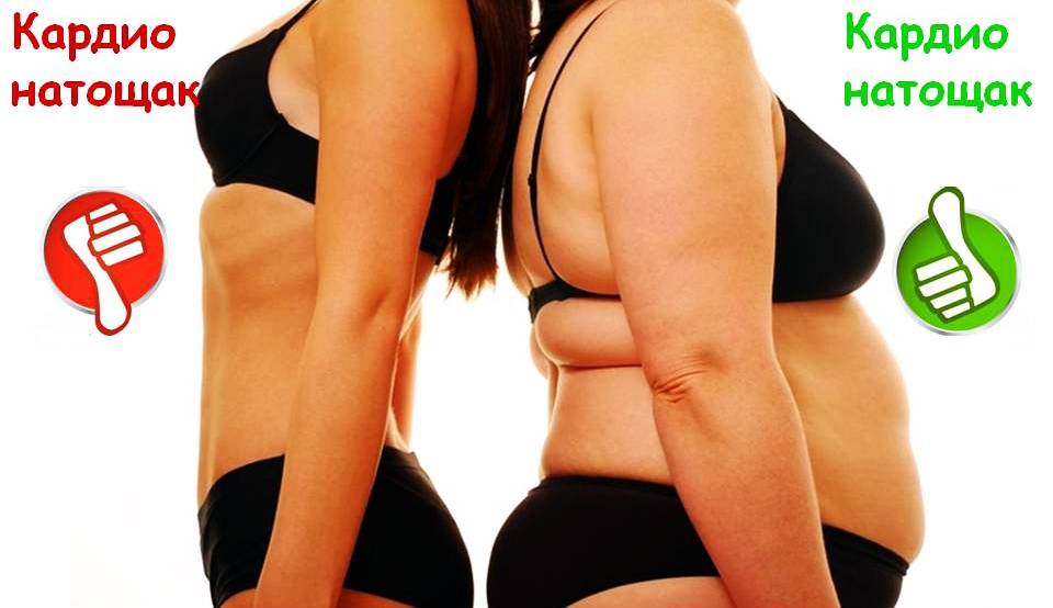 Питание перед тренировкой: польза тренировки натощак для похудения