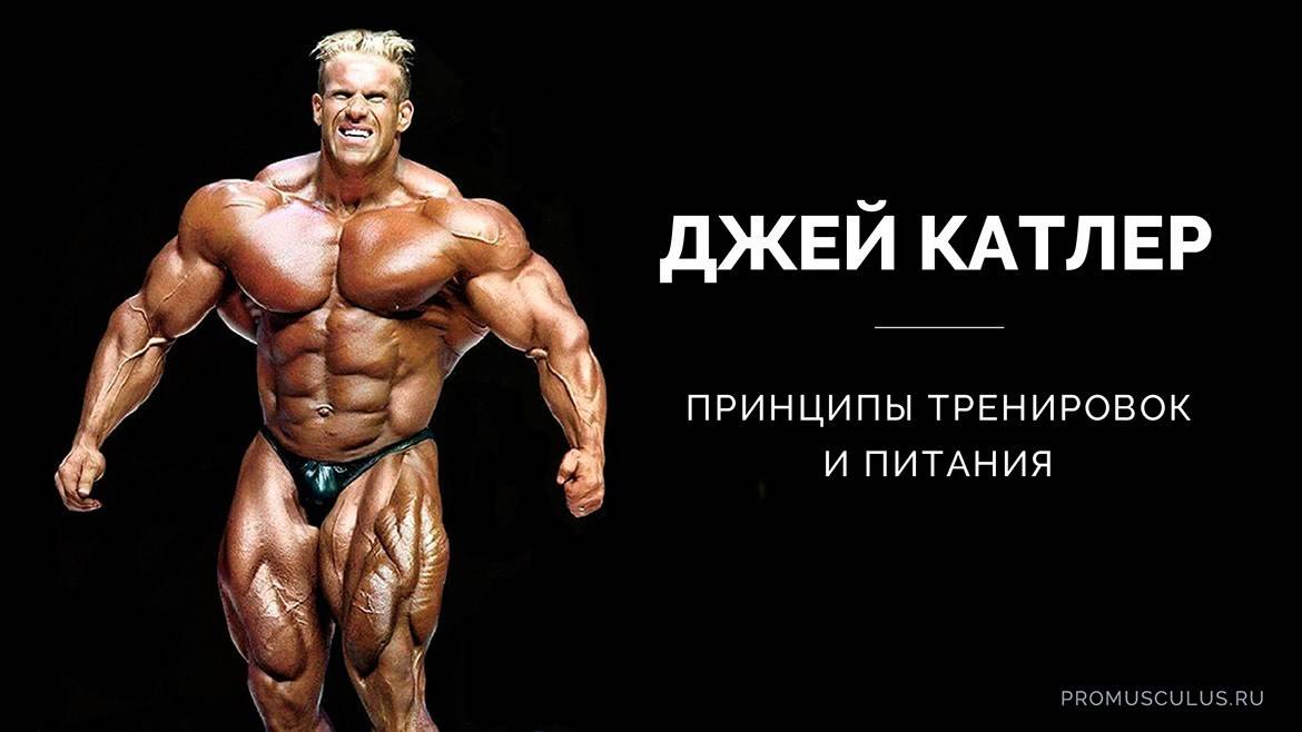 David laid- антропометрия атлета, программа тренировок, фото и видео