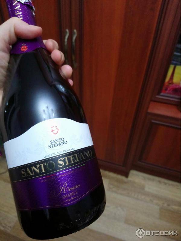 Санто стефано шампанское фиолетовое фото