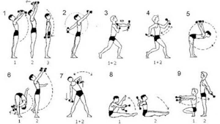 7 7 7 с гантелями. Комплекс упражнений с гантелями (10-12 упражнений). Схема упражнений с гантелями для детей. Упражнения с гантелями для мальчика 10 лет. Упражнения с гантелями 1кг для детей.