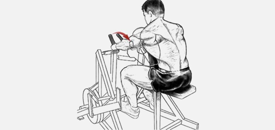 Тяга ли хейни