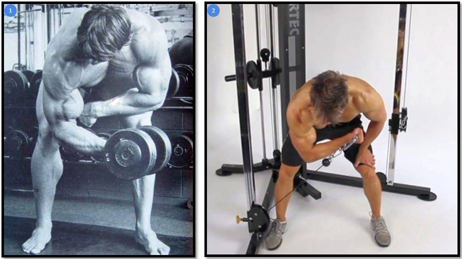 Упражнения для мышц рук: 20 лучших упражнений для прокачки мышц рук