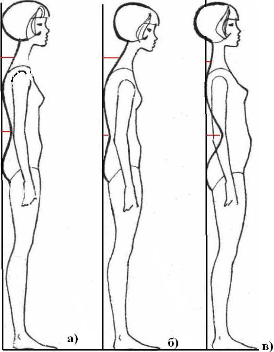 Топ-30 лучших упражнений для улучшения осанки (фото)