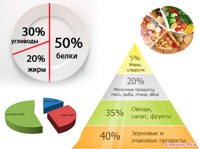 Особенности питания людей занятых умственным трудом