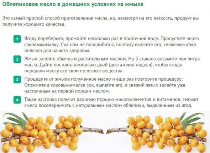 Вредны ли яйца для печени или нет — 4 научных факта о пользе куриных и перепелиных видов, а также можно ли их есть при заболеваниях?