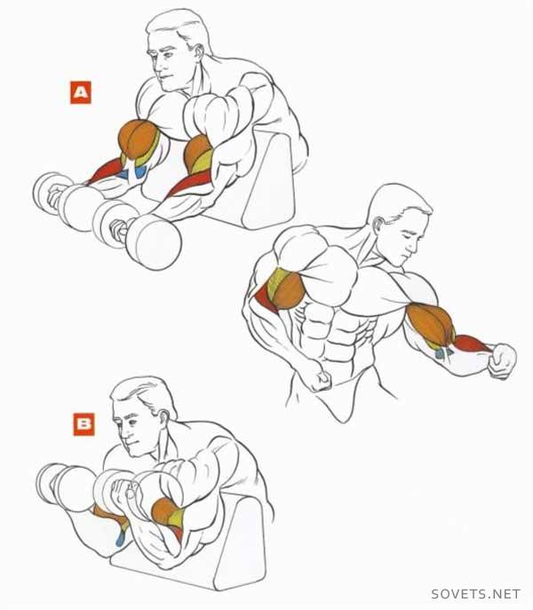 Как накачать бицепс: 9 упражнений для мужчин в домашних условиях