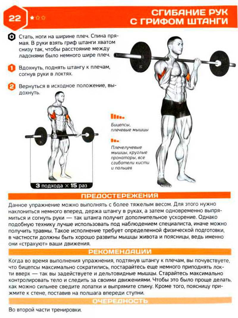 Тяга гантелей к подбородку: техника выполнения, какие мышцы работают