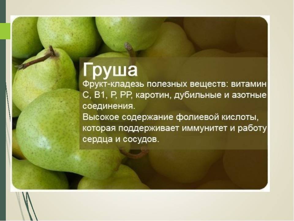 4 лечебных свойства груши. калорийность и противопоказания