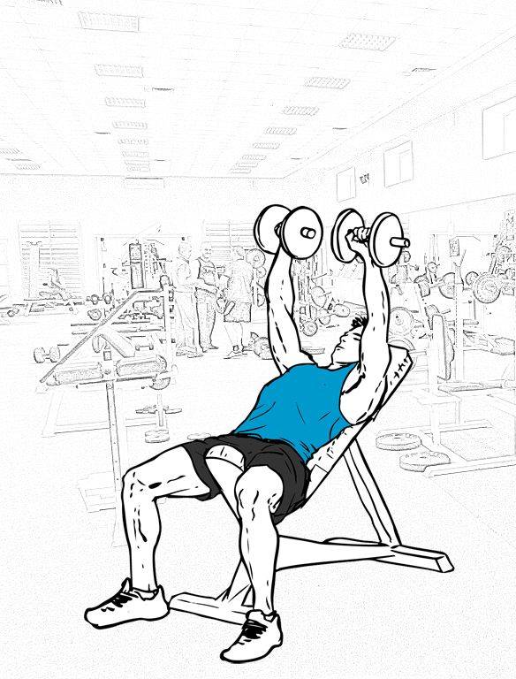 Тяга гантелей в наклоне, особенности, разновидности, основные ошибки