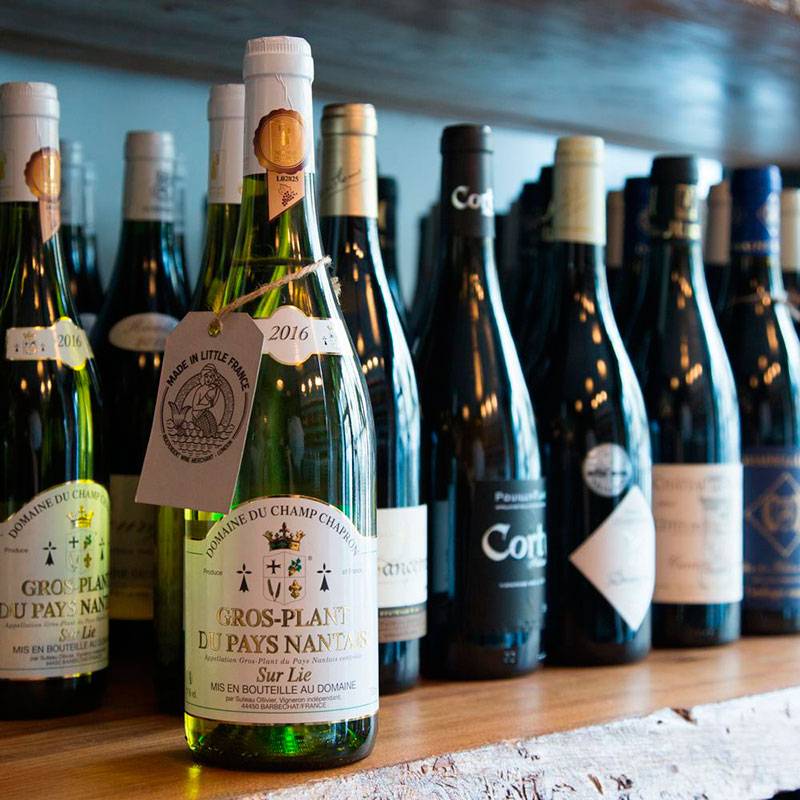 Классификация вин и история их развития