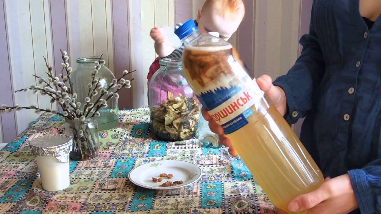 Как сделать вино из березового сока