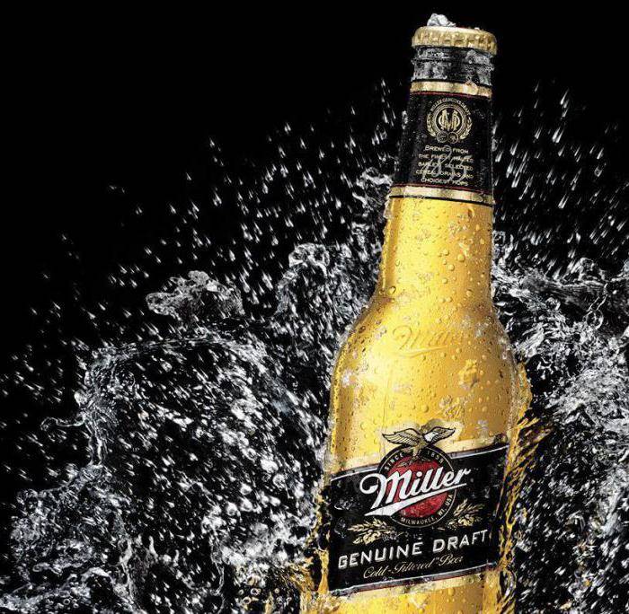 Занимательная информация: 38 интересных фактов о пиве — pivo.by