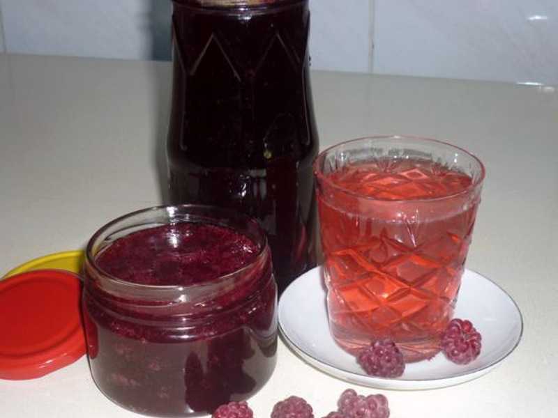 Сироп из клюквы в домашних условиях на зиму. Сироп из смородины. Сироп рецепт на зиму. Мед из мяты. Сироп рецепт на зиму.