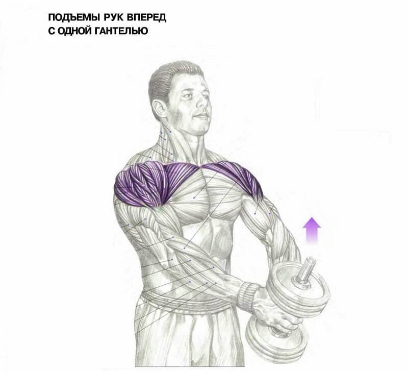 Подъём гантелей перед собой: техника выполнения и варианты упражнения