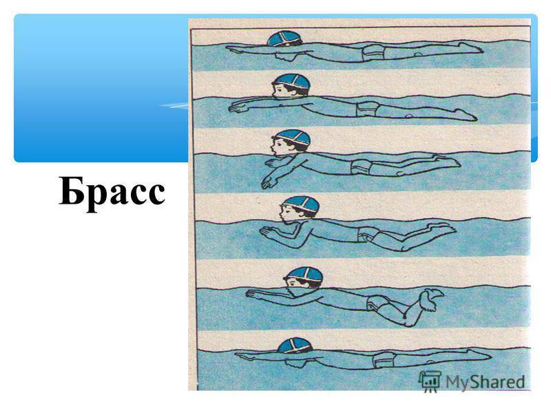 Как научиться плавать взрослому самостоятельно за 30 минут